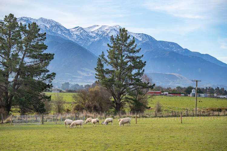 87 Green Lane Kaikoura_13