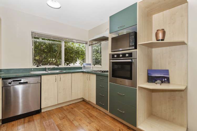 28 Maitland Street Frankton_4