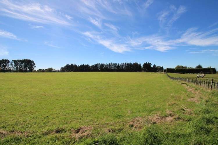 112 Calico Line Marton_66