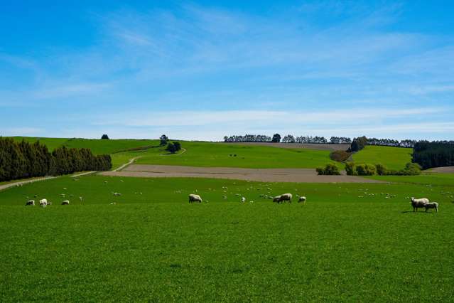 Longridge Road Longridge North_1