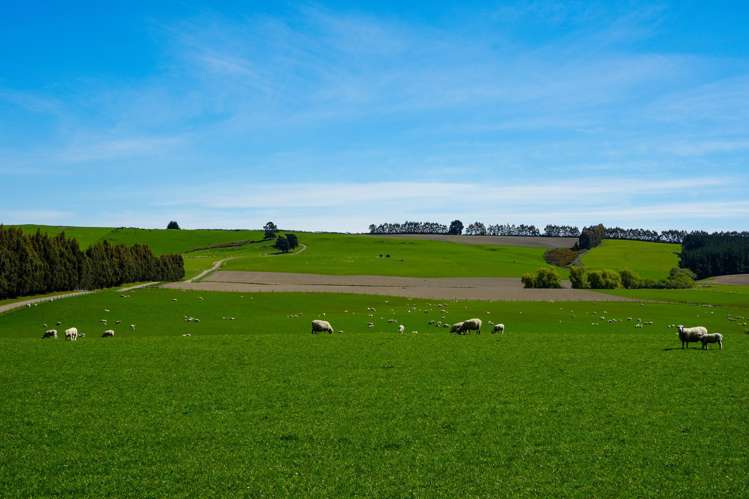 Longridge Road Longridge North_1