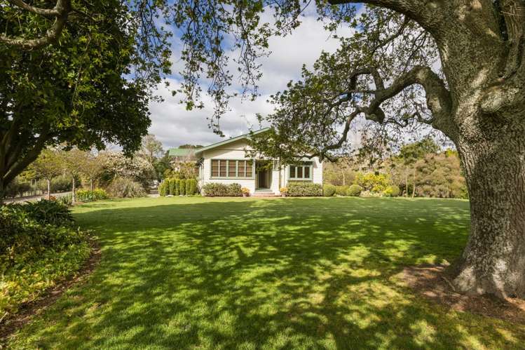 184 Te Matai Road_5
