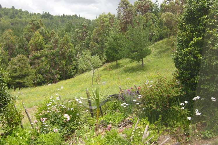 124 Tuna Place Onemana_14