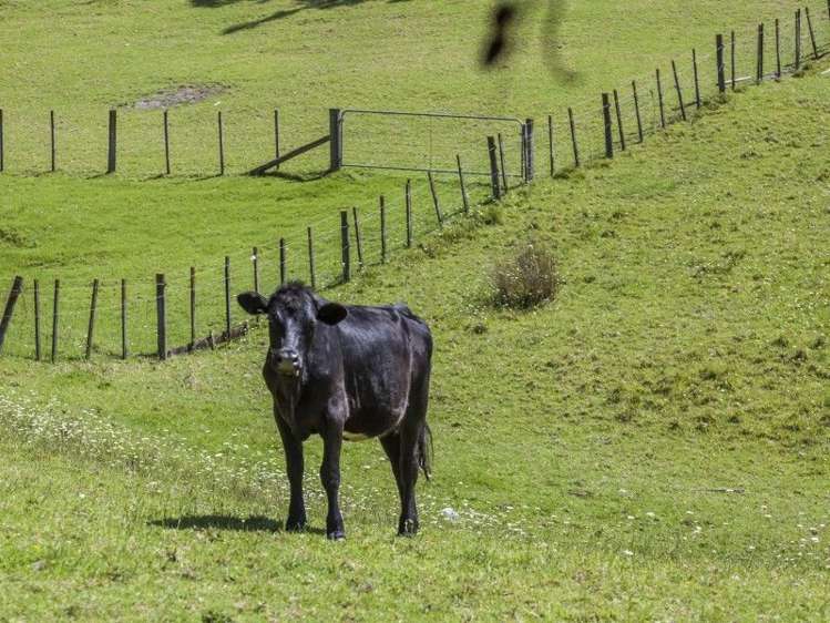 18 Sawmill Road Thames_20