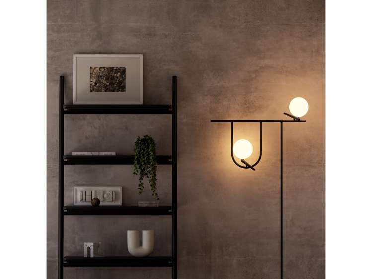 78 France Street Eden Terrace_13