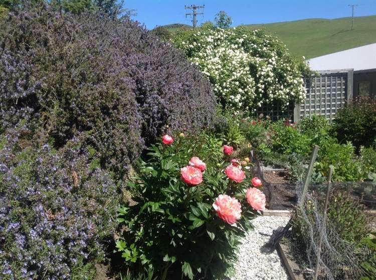 163 Hansen Road Queenstown Hill_17