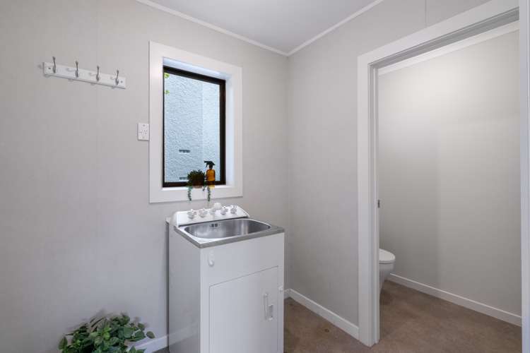 319 Chelmsford Street Waverley_13