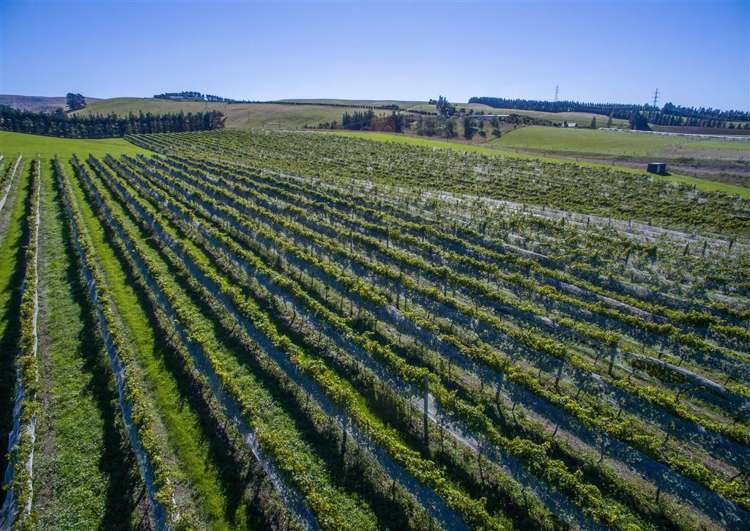 337 Mackenzies Road Waipara_5