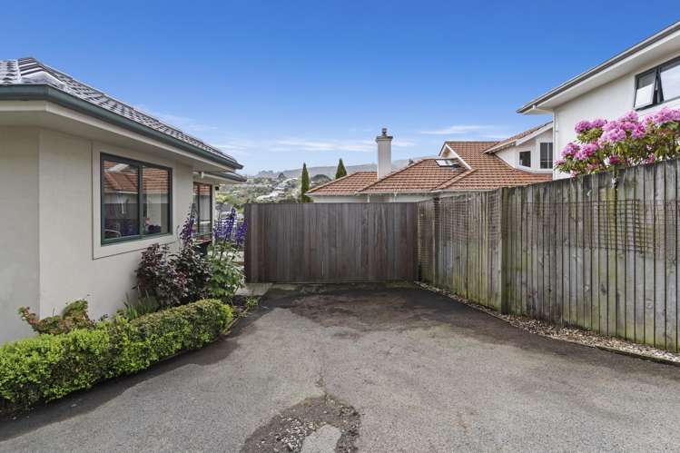 29B Butler Street Maori Hill_23