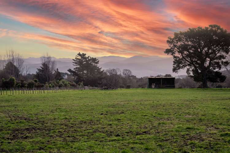 65a Connollys Line Carterton_29