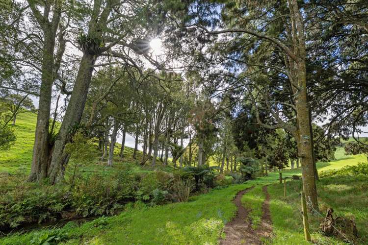 554 Maungatawhiri Road (bare block) Raglan_6