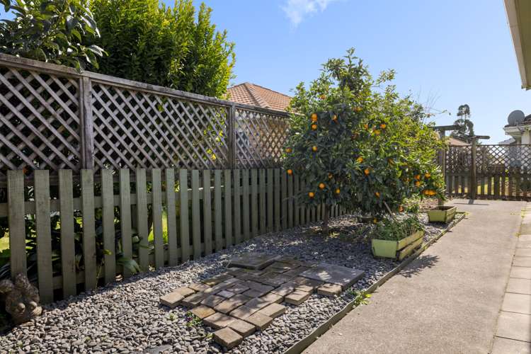 33b Boucher Avenue Te Puke_12