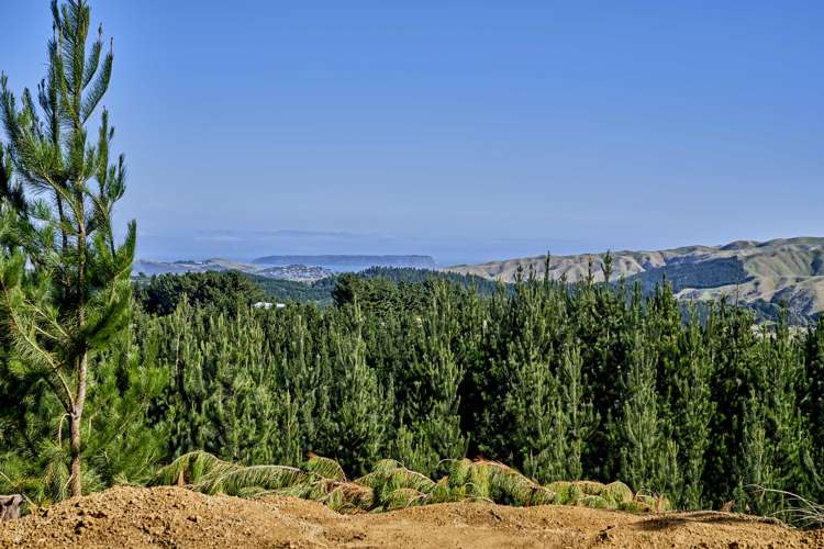 Fernhill Drive Judgeford_1