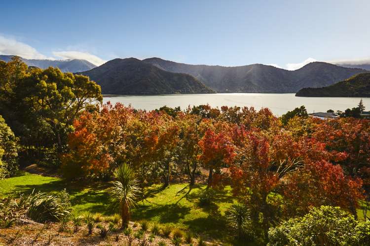 93a Main Road Havelock_3