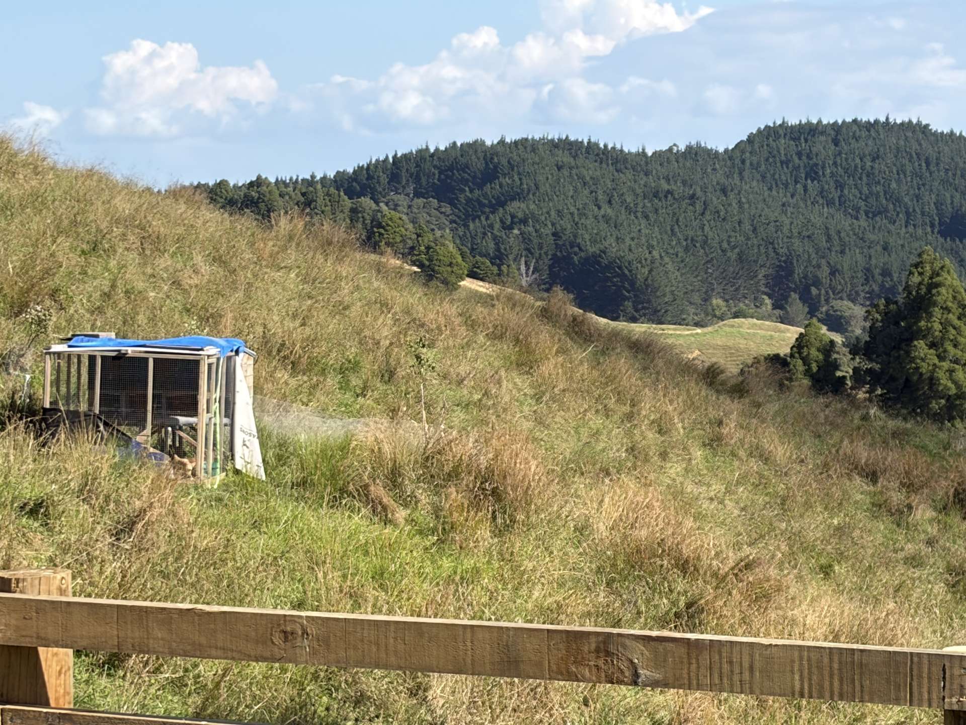 138 Wech Access Road Makarau_0