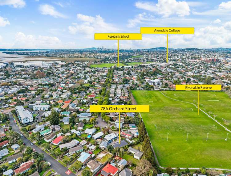 78A Orchard Street Avondale_14