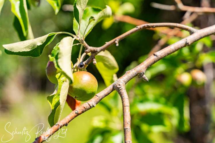 21 Ngatoto Road Tinopai_9