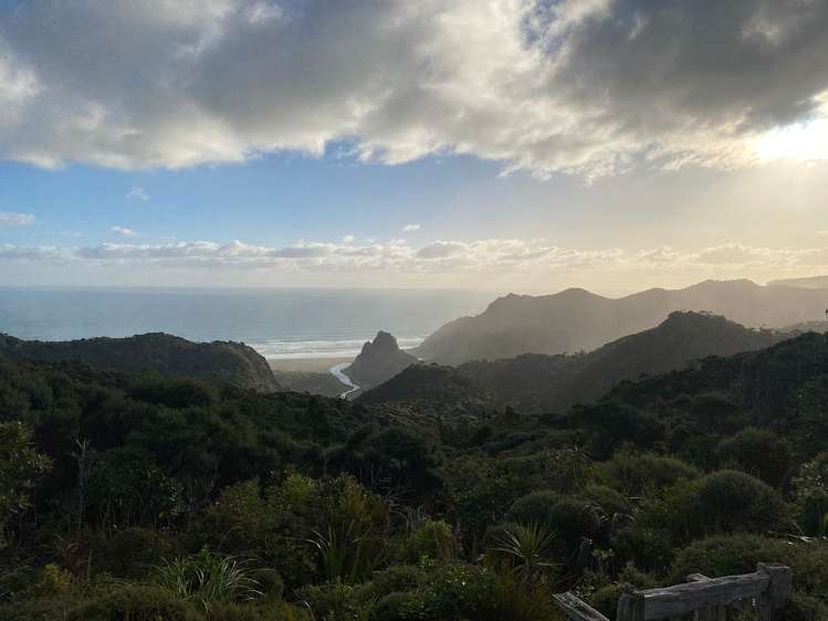 Kauri Cabin/128 Lone Kauri Road Karekare_24