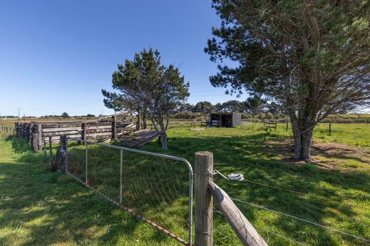 677 Ruatapu Road Ruatapu_5