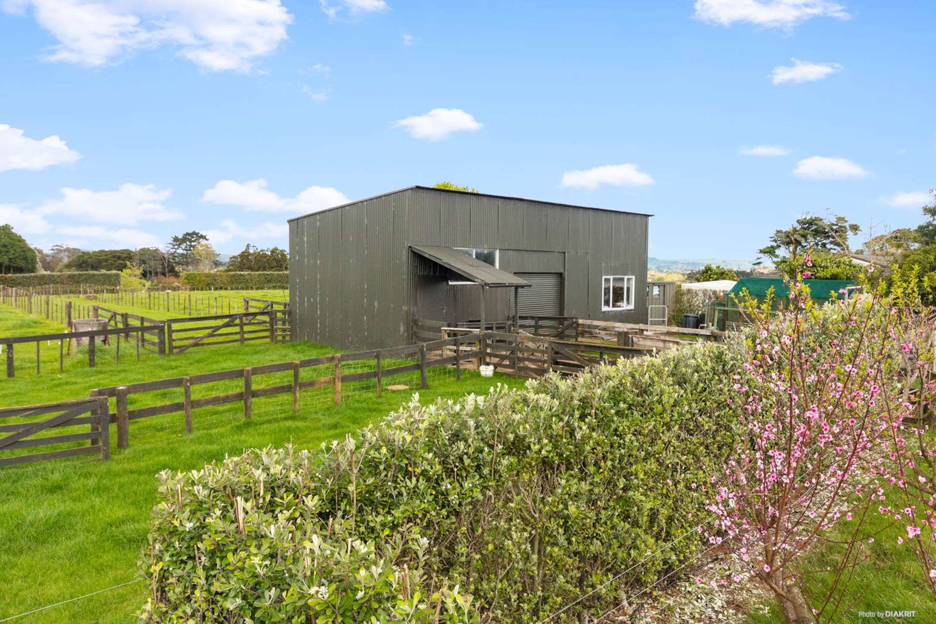 65 Kidd Road Waiuku_0