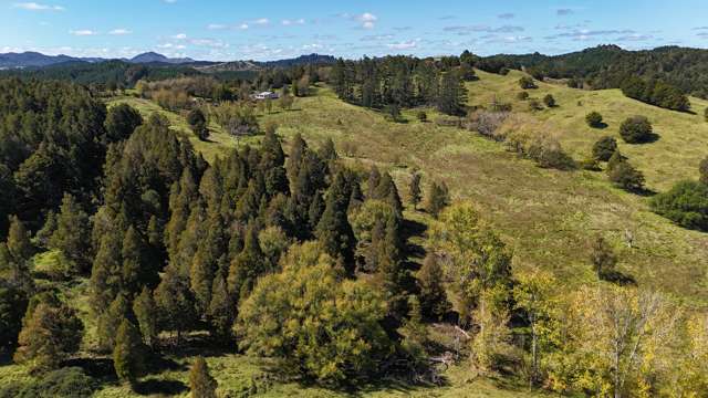 Attractive Farmland in Hokianga