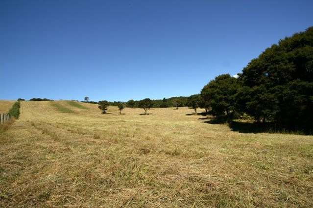 588 Orapiu Road Waiheke Island_1