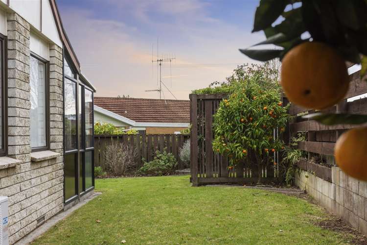 268b Ngatai Road Otumoetai_13