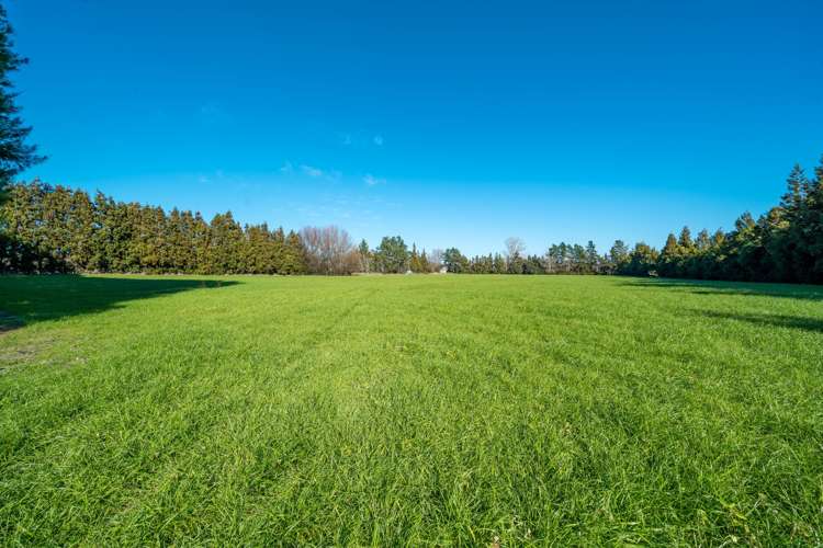 33 Horrell Road Morrinsville_18