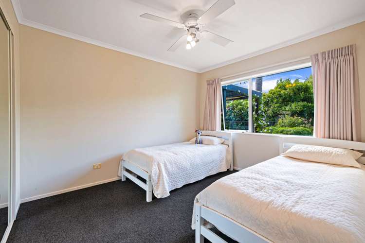 143 Goodland Drive Dairy Flat_18