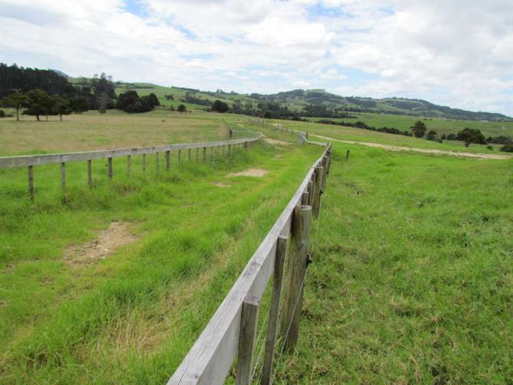 300 Gumtown Road Kamo_20