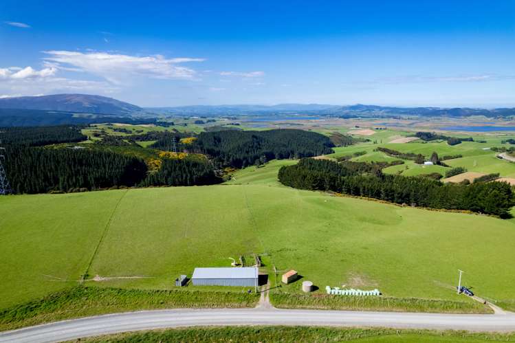 Waihola Hill Road Milton_2