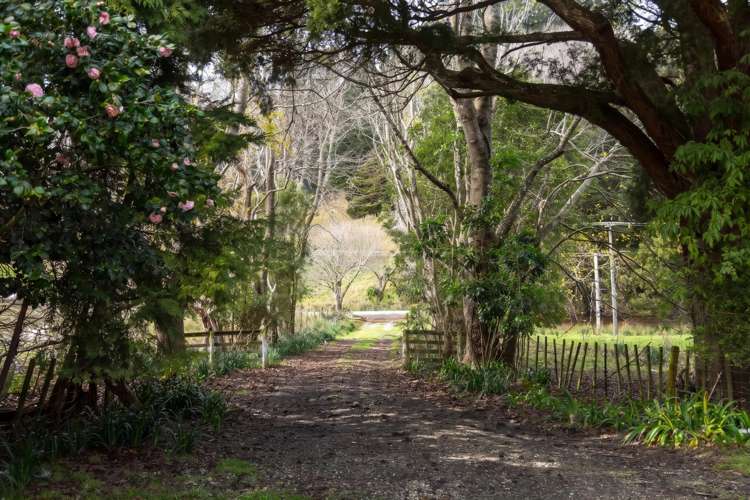 427 Tinui Valley Road Tinui_19