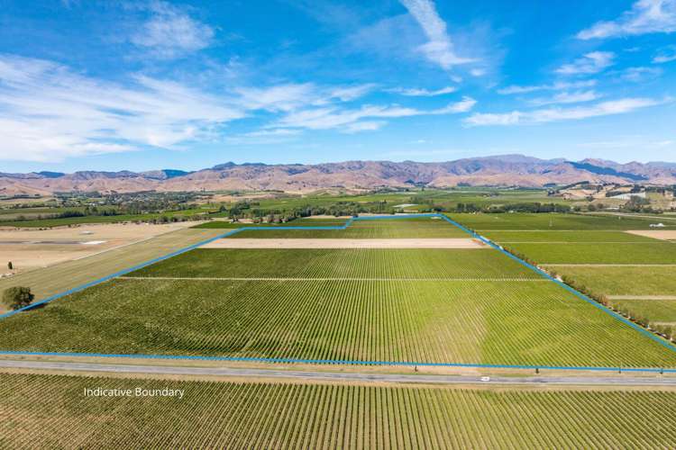 1 Wairau Plains Renwick_22