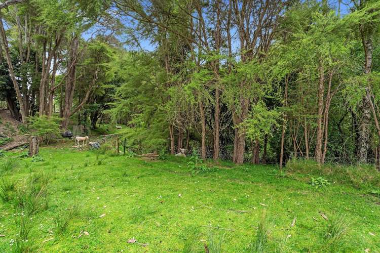 51 Selbourne Avenue_5