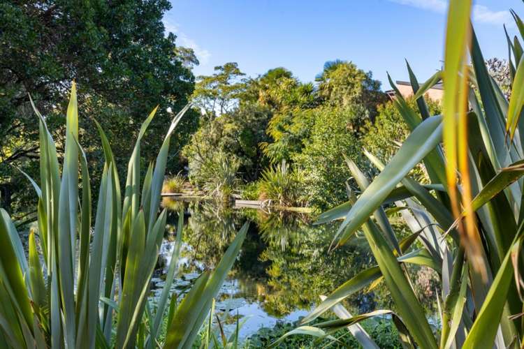 46A Holdaway Street Riversdale_23