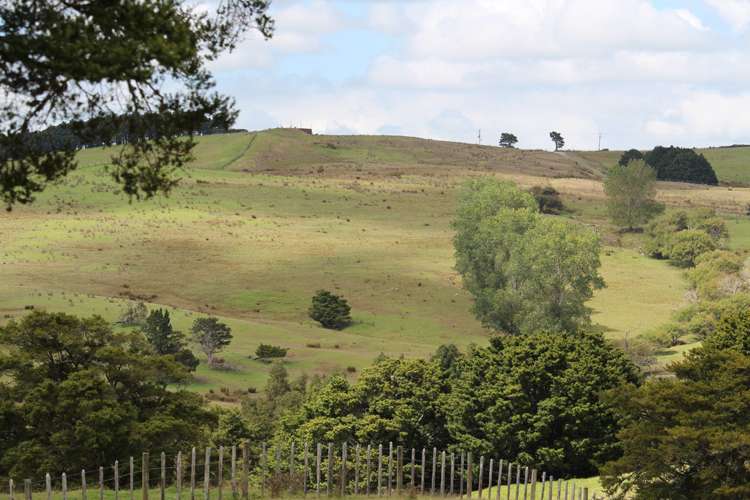 Aponga Road Ruatangata_8