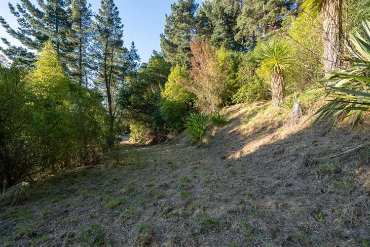68 Rapaki Road Hillsborough_5