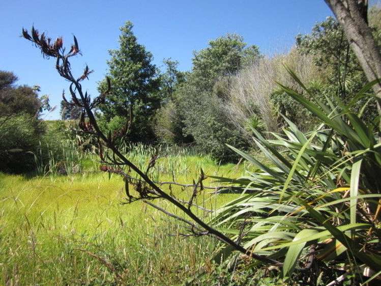 2 Blakes Approach Mahia_5