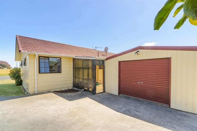 2 Walton Street Bulls_0