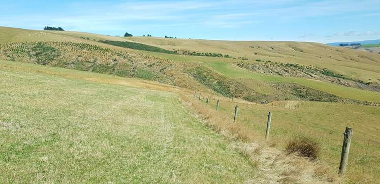 890 Mount Stuart Road Balclutha_3