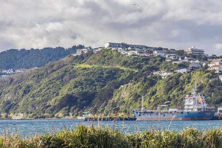 2/163 Rongotai Road Rongotai_26