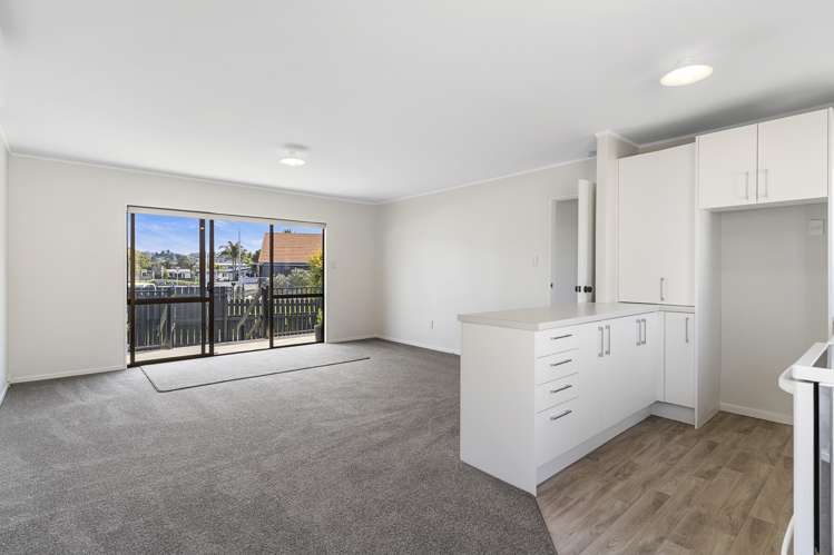 102a Ocean Road Whangamata_14