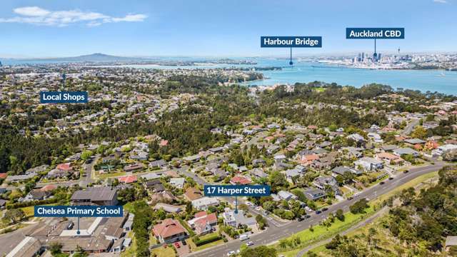 17 Harper Street Chatswood_4