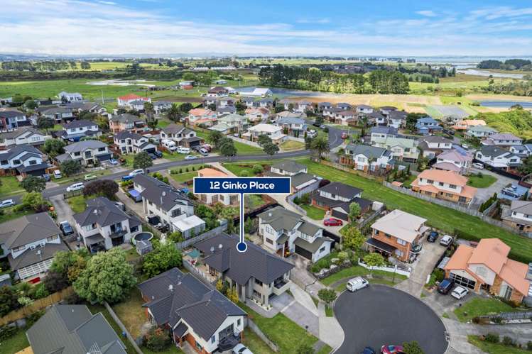 12 Ginko Place Mangere_24