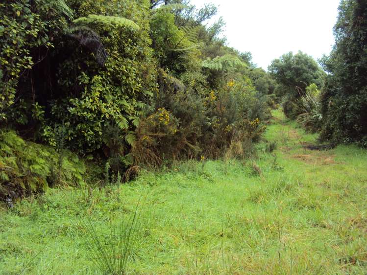 858 Shwy 67 Nikau Kahurangi National Park_3