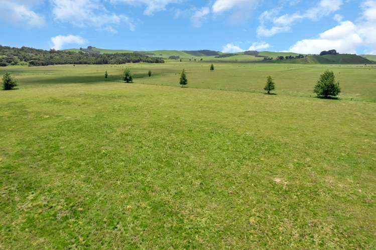 530 Tramline Road Ruawai_20