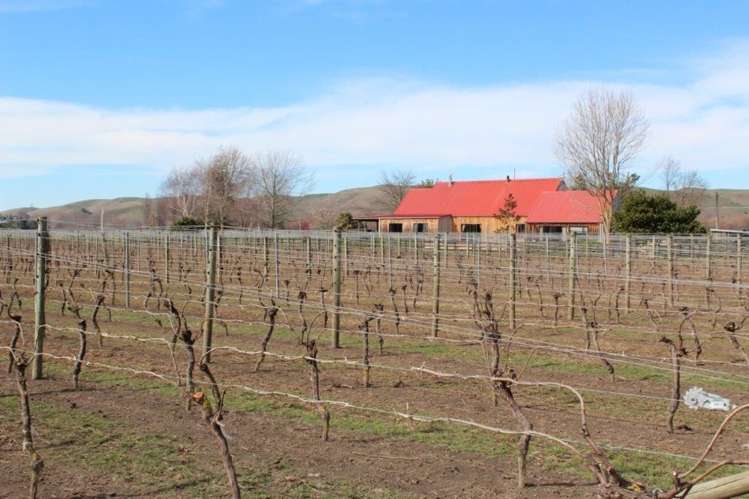 750 Ohiti Road Crownthorpe_19