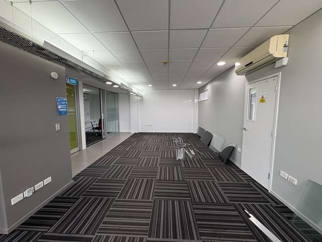 42 George Street Mount Eden_2