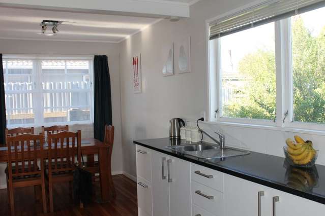 3 Aarts Avenue Manurewa_1