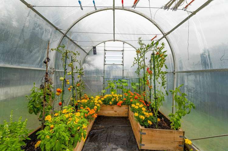 15B Mayfair Place Westown_20